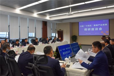 市政協(xié)主席康俊一行到川威召開“十四五”氫能產(chǎn)業(yè)發(fā)展調研座談會