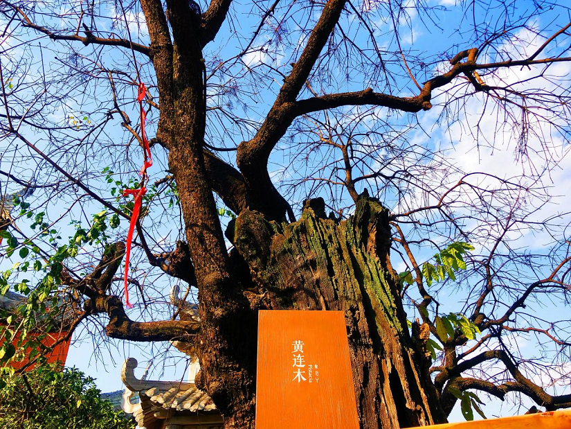 大石板古村:保護(hù)利用讓歷史文化“活”起來(lái) ——全省城鄉(xiāng)建設(shè)歷史文化保護(hù)利用工作現(xiàn)場(chǎng)會(huì)在西昌大石板古村召開(kāi)(圖3) 大石板古村:保護(hù)利用讓歷史文化“活”起來(lái) ——全省城鄉(xiāng)建設(shè)歷史文化保護(hù)利用工作現(xiàn)場(chǎng)會(huì)在西昌大石板古村召開(kāi)(圖3)