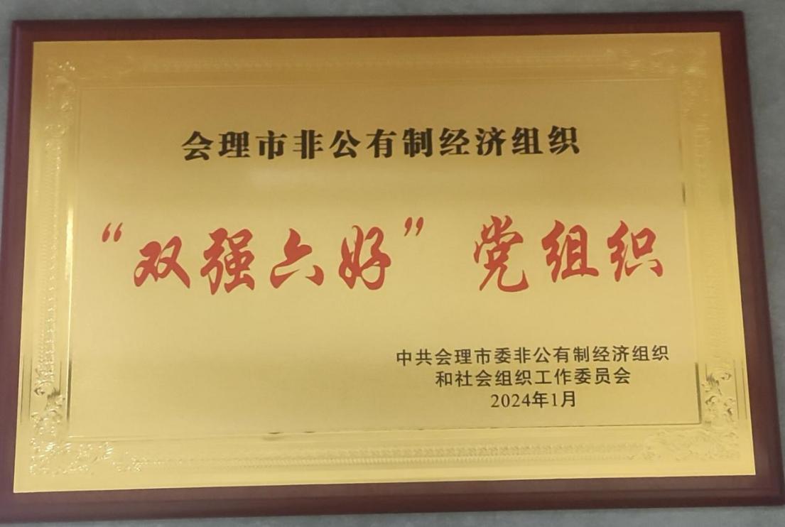 喜訊！礦業(yè)總公司財(cái)通公司黨支部榮獲會(huì)理市“雙強(qiáng)六好”黨組織稱號(hào)