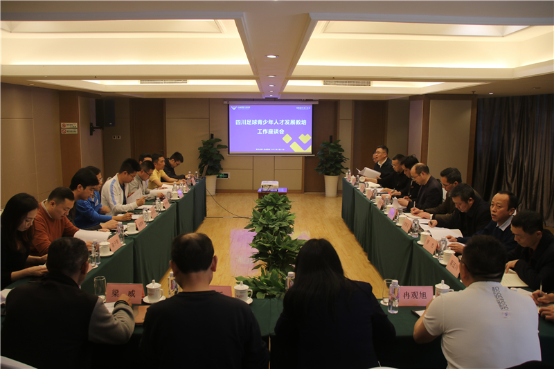 企業(yè)搭臺(tái) 專(zhuān)家唱戲 大咖齊聚 ——川威法蘭克福足校研討會(huì)召開(kāi)(圖1)